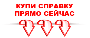 справка в Челябинске