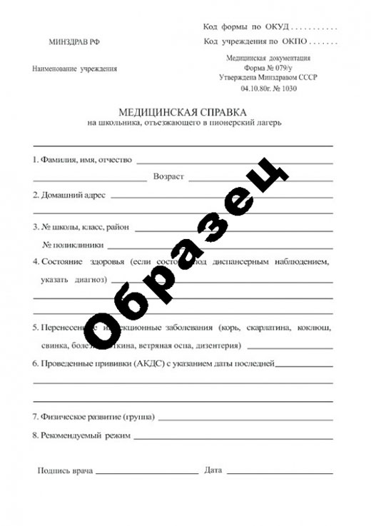 Получить справку в пионерский лагерь в Челябинске Справка в пионерский лагерь в Челябинске